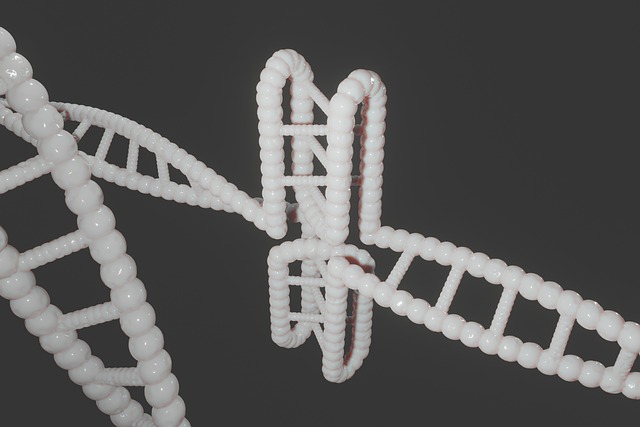 zrzut ekranu szablonu budżetu miesięcznego i listy kontrolnej