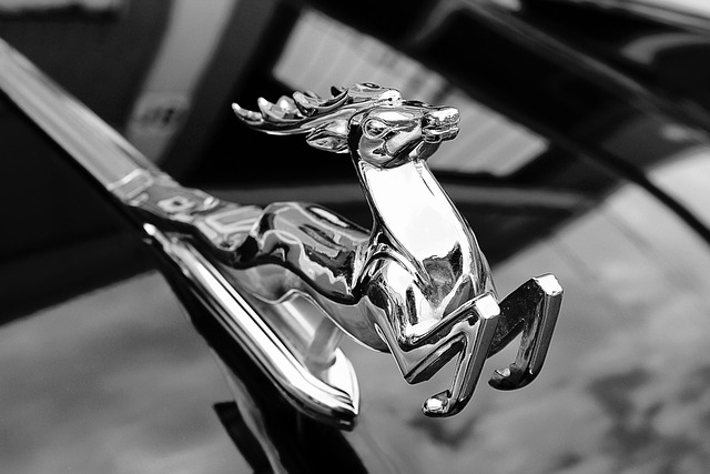 zespół edukacji finansowej podczas pracy nad materiałami w biurze w Warszawie